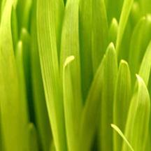 会员充值中心的怎么简单攻击一个网站